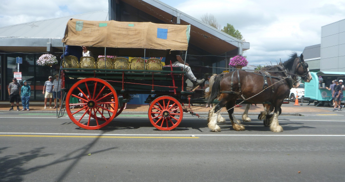 Inglewood Jubilee Clydesdale horses